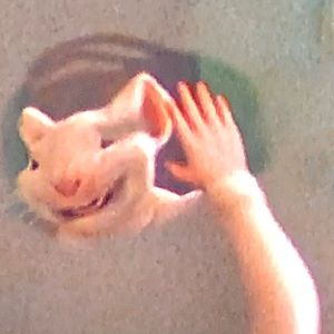 Meet your Posher, Grant